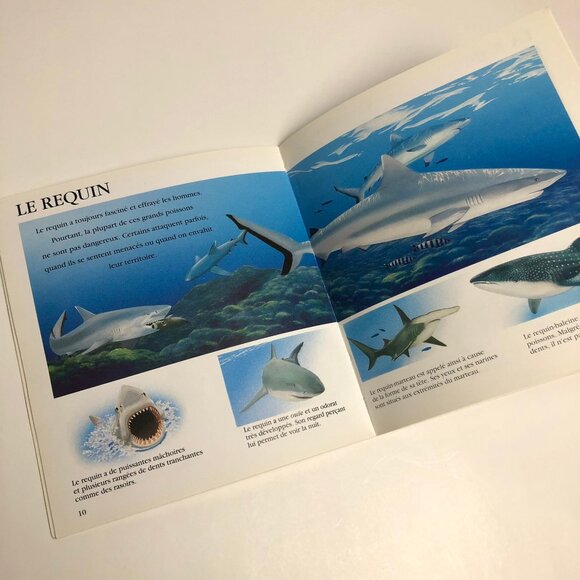 Lot livres vintage pour enfants et marionnette vintage 🦀 French Childrens Books - Picture 9 of 13